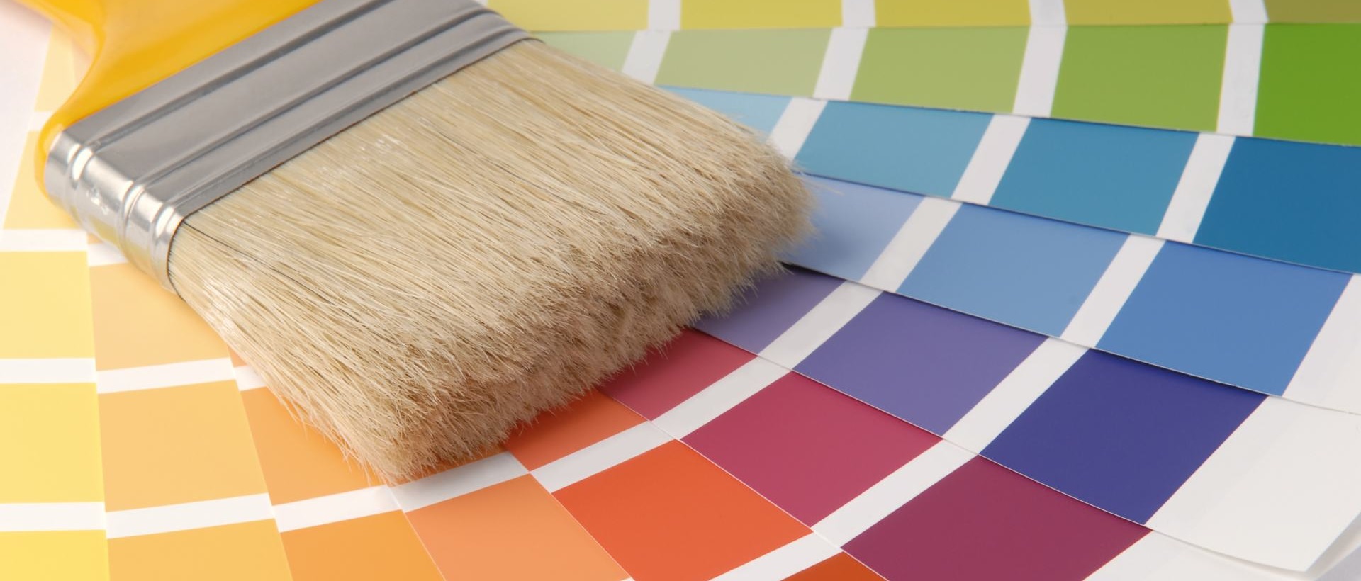 Painter E1